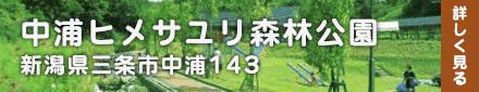中浦ヒメサユリ森林公園